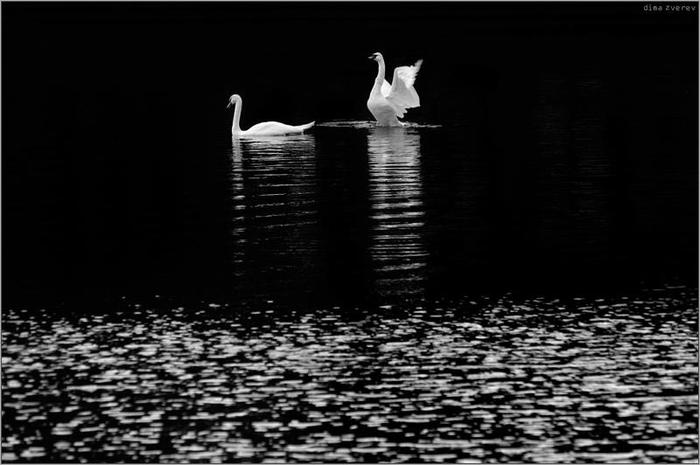 Atmospheric b/w - Black and white photo, Not photoshop, Longpost