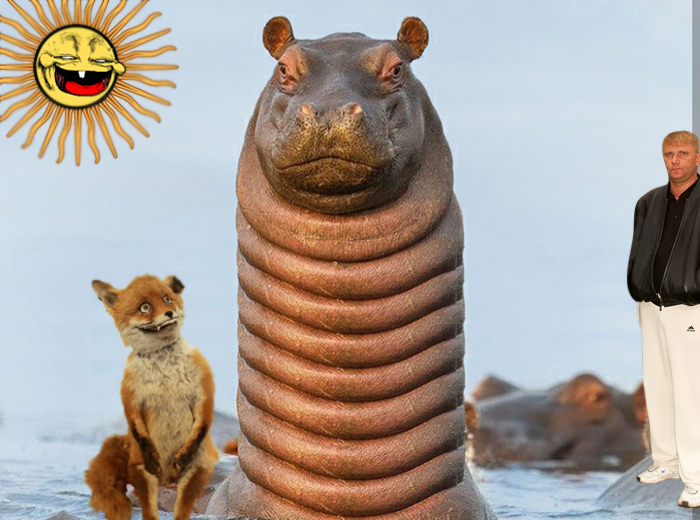 Begemotik-2 - My, hippopotamus, Neck, Photoshop master, Stoned fox, Witness from Fryazino, Photoshop god