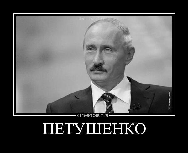 Владимир Владимирович Петушенко. Кто если не он? - Владимир Путин, Политика