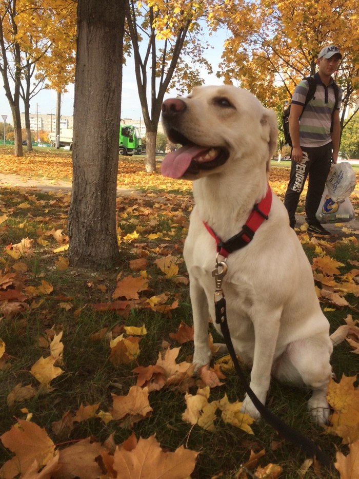 ������ � ������� �����.