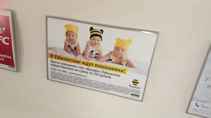 ���� ����������