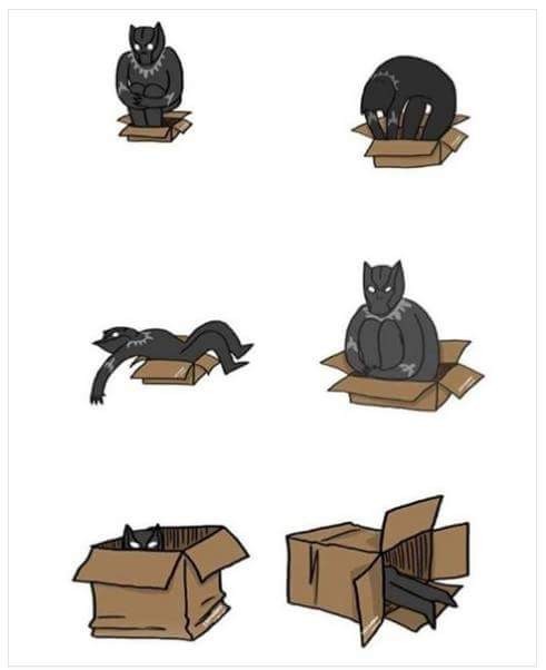 Even a superhero cat has very ordinary habits - Marvel, Black Panther, Superheroes, Drawing