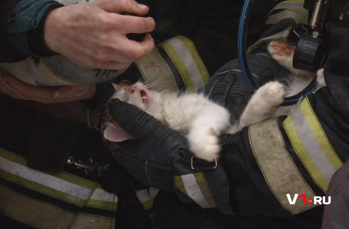 ���������� �����: �������� ������������ � ���� ����� � ����� ����������