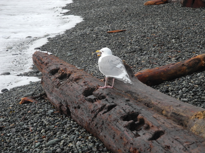 Когда не знаешь как помочь
