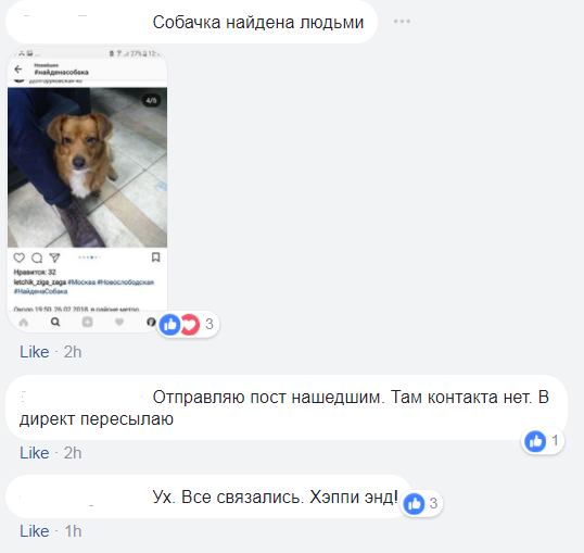 A dog was found, Moscow, Novoslobodskaya, 02/26/2018. - Found a dog, Moscow, Novoslobodskaya, In good hands, Help, Lost, No rating, , Longpost, Helping animals