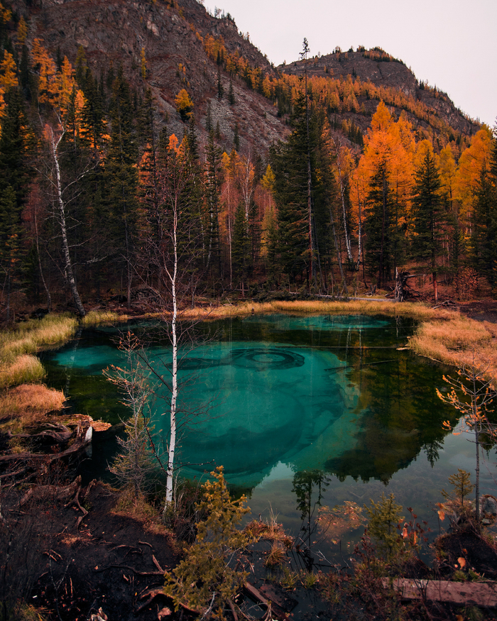 Altai - My, Altai, Autumn, Travel across Russia, Longpost, The mountains, beauty, Nature, Lake, Altai Republic