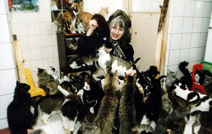 The most famous cat lady in Russia has become disillusioned with people and continues to live with animals - Crazy Cat Girl, cat house, Novosibirsk, , Siberia, Neighbours, cat