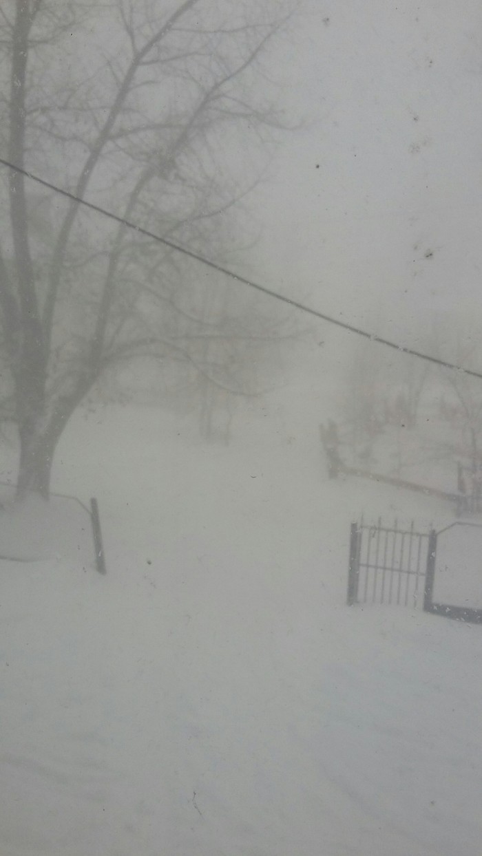 В Приморский край пришла весна.