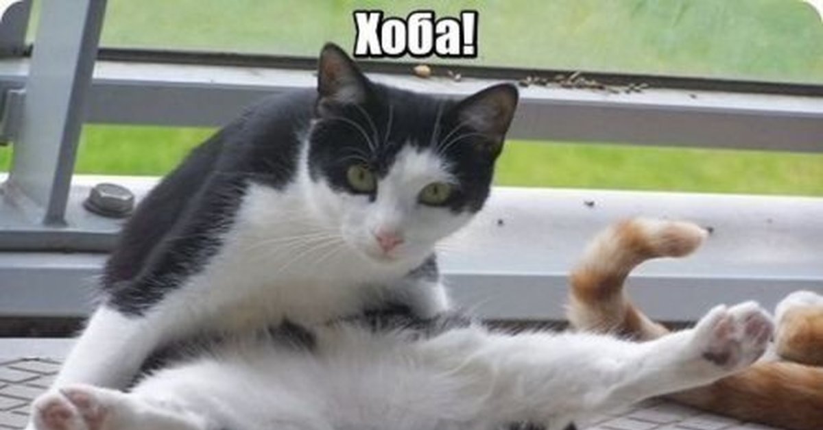 Ничего страшного нет. Вот видишь. Ну вот видишь. Вот видишь какая ты себе взяла большой кусок а мне оставила маленький. Ну вот видишь знаешь.