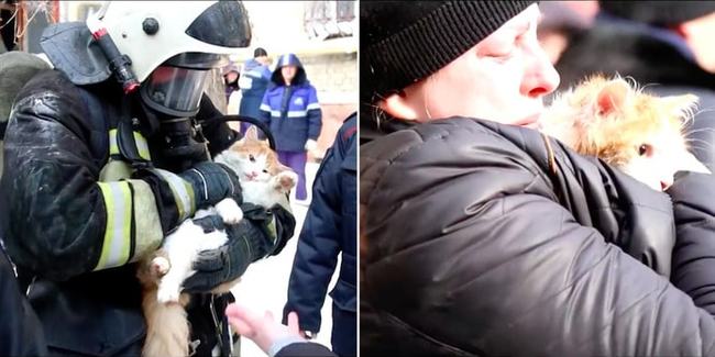 ��������� ������������� �������� ��� ������ � ���������� ����