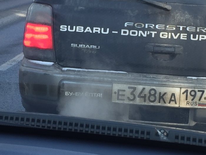 -,  Subaru, Subaru Forester, ,   ,   