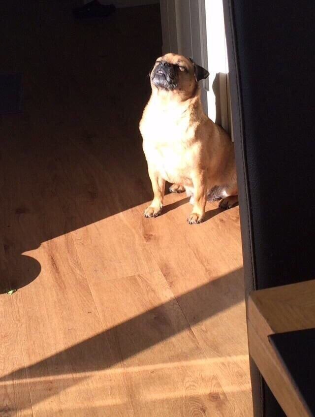 Первое весеннее тепло