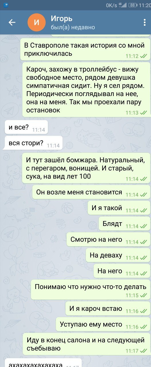   ,  , ,    , Telegram