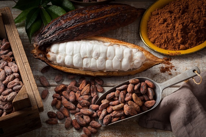 Everything you wanted to know about chocolate: from the cocoa bean to the bar - Chocolate, Production, How is it done, Confectioner, Cocoa, Informative, Interesting, Longpost