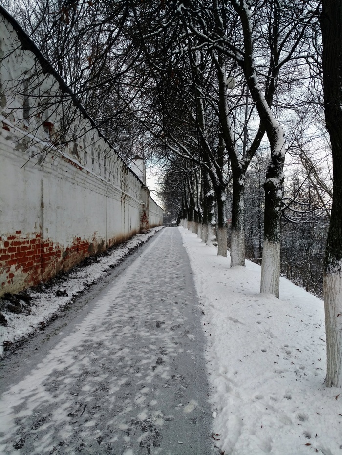 VLADIMir - My, Vladimir, , The photo, Alley, Winter