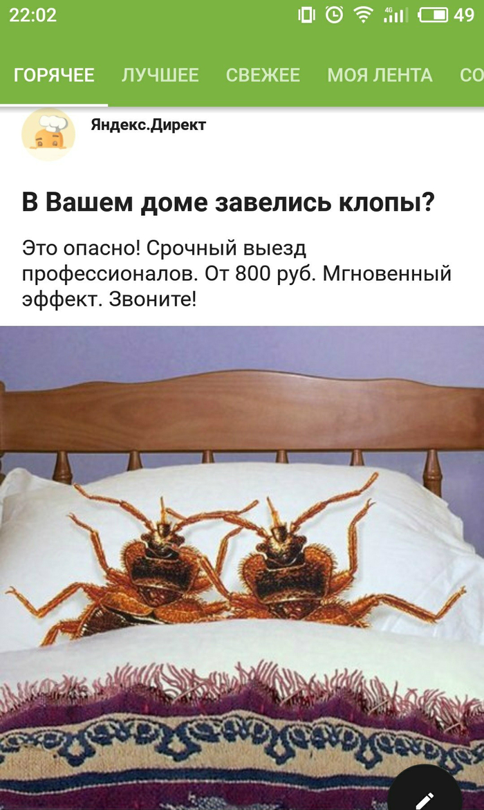 Bed bugs have a sex life too - Advertising, Bedbugs