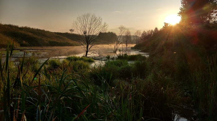 Beautiful autumn landscape - My, Xiaomi mi5, Duck hunting, Lake, dawn, Mobile photography
