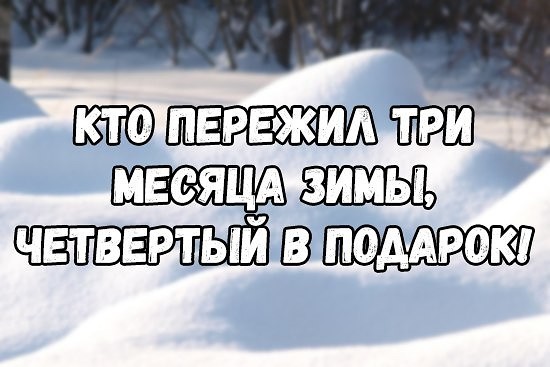 Зима, мы тебя любим. Но. Давай до свидания! - Зима, Снег, Животные, Красота, Фотография, Длиннопост