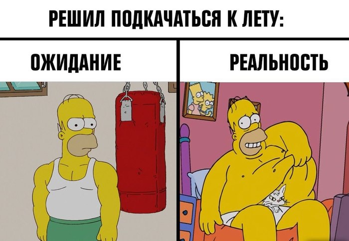 Expectation vs reality - The Simpsons, Summer, Expectation, Expectation and reality