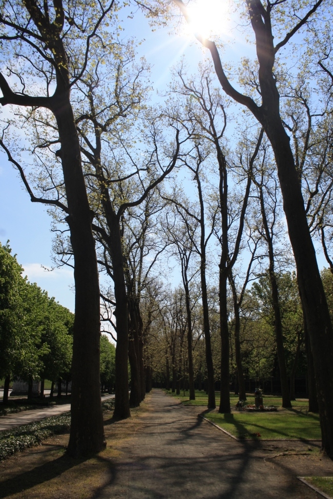 What impressed me the most in Berlin - My, Travels, Berlin, Germany, The Great Patriotic War, People, Treptower Park, Longpost