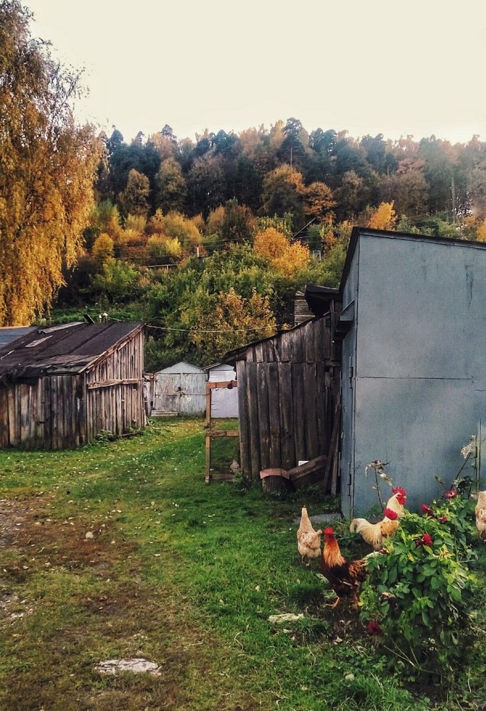 Gorokhovets - My, Gorokhovets, Xiaomi, Landscape, Autumn, Photo on sneaker, Longpost, Architecture, Travels