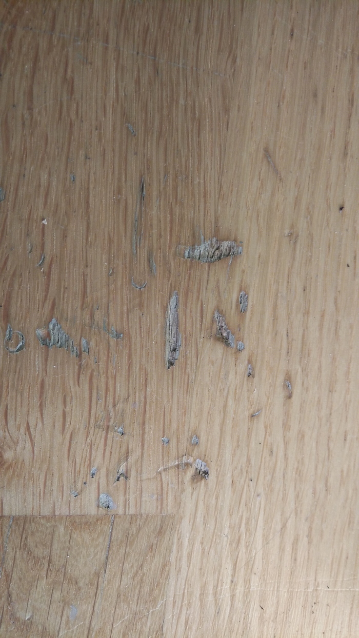   , , , , Wirbel, Hummel,  , , 