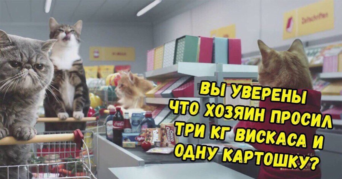 Cat shopping. Котик в магазине. Кот на кассе. Кот в магазине Мем. Кот шоппинг.