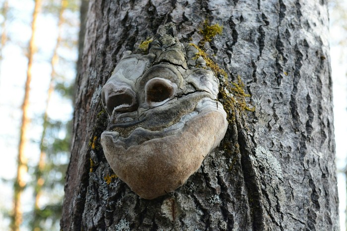 Просто оставлю это тут.