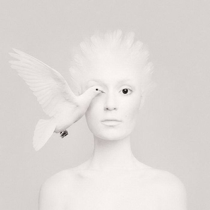 Animeyed - Look Alive by Flora Borsi - , Photoshop master, Animals, Longpost