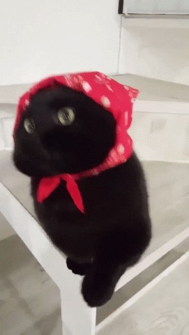 Babushkat