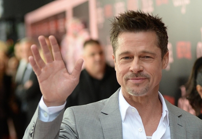 Brad Pitt has announced that he completely refuses sex - Brad Pitt, , The large family, , Actors and actresses