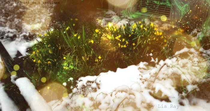   , , , Photoshop,  