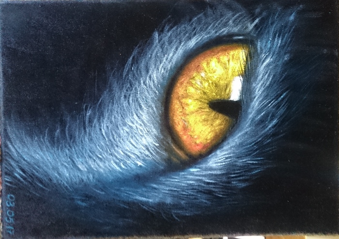 shining gaze - My, Oil on velvet, Painting, Oil painting, Painting