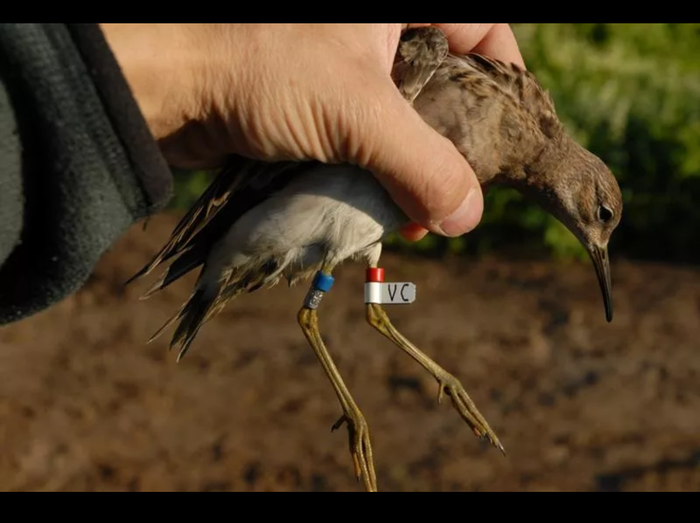 Когда батя шутник