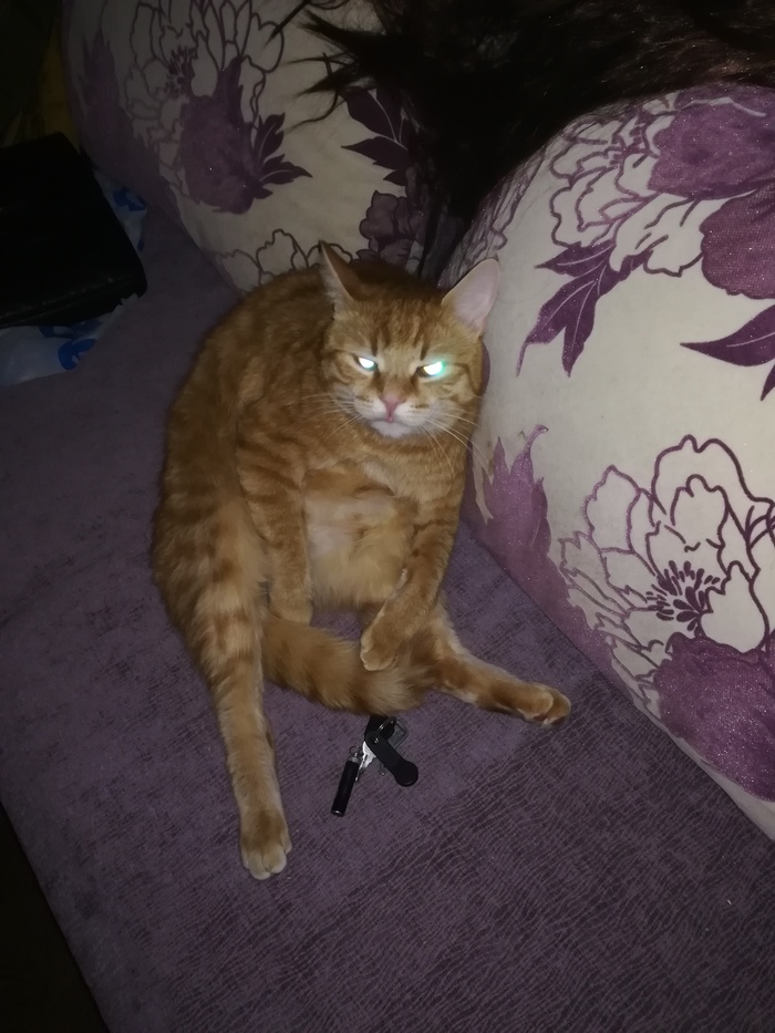 Сказал ему что посажу на диету