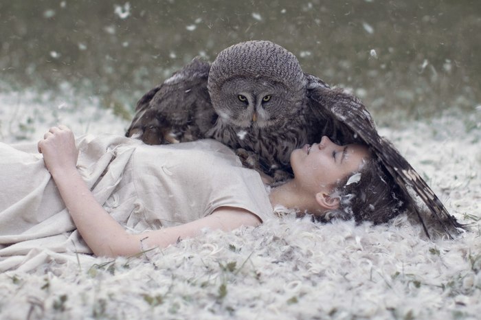 Romantic and fabulous Katerina Plotnikova - , Photographer, , Longpost, A selection