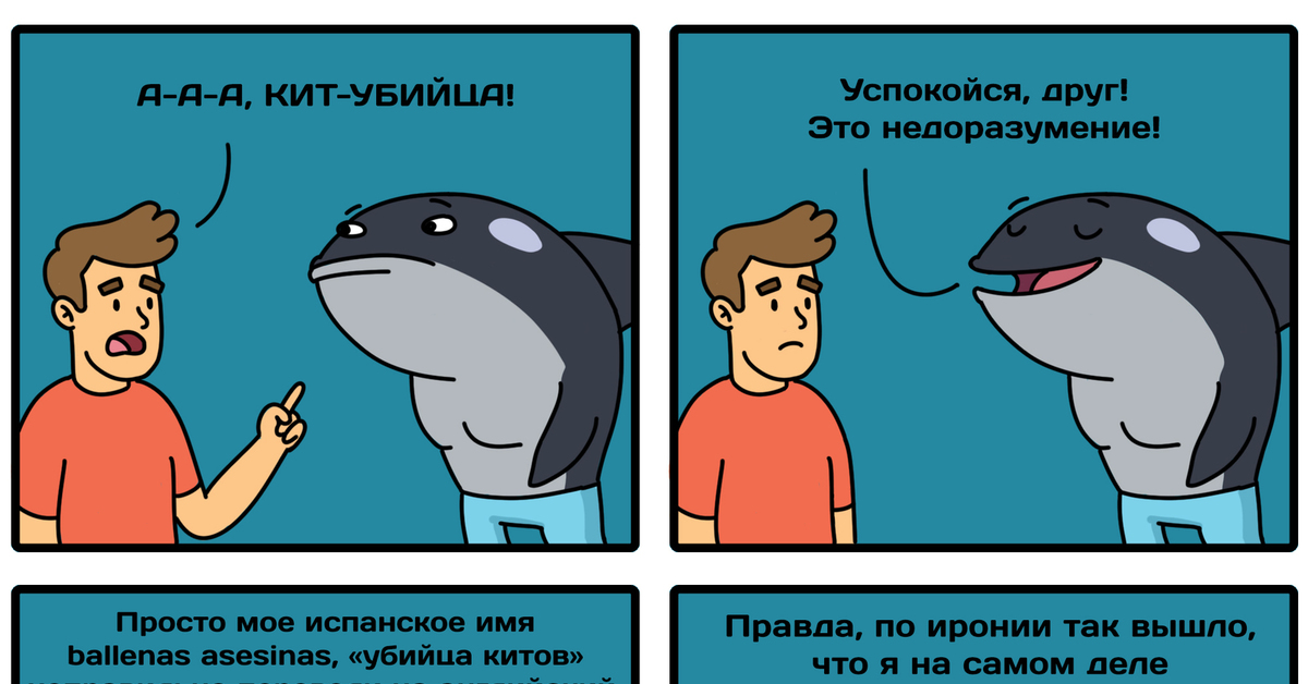 Фото переводчик кита. Кит прикол. Кит Мем. Анекдоты про китообразных.