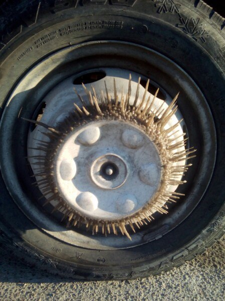 Icicles on the bus wheel - Icicles, , Колесо