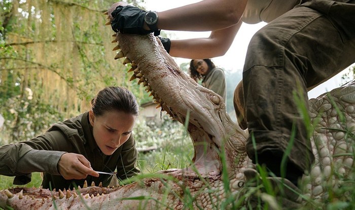 Possession on the sidelines. - My, Annihilation, Movie review, Science fiction, Natalie Portman, Jennifer Jason Leigh, My, Longpost