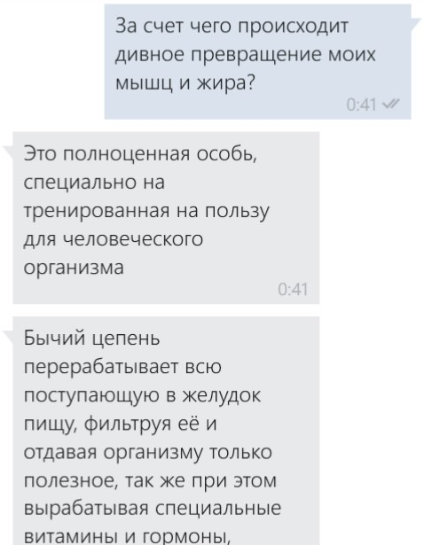 Продажа специально натренированных особей гильминтов - Моё, Глисты, Бычий цепень, Фитнес, Длиннопост, ВКонтакте, Переписка