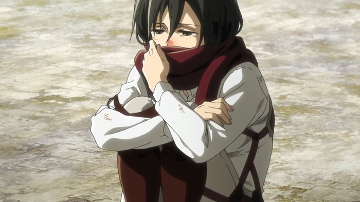 Mikasa - My, Anime, , Attack of the Titans, Screenshot