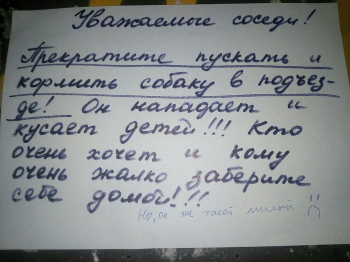 Соседи, такие соседи - Моё, Соседи, Собака, Россия, Подъезд, Ростов-на-Дону