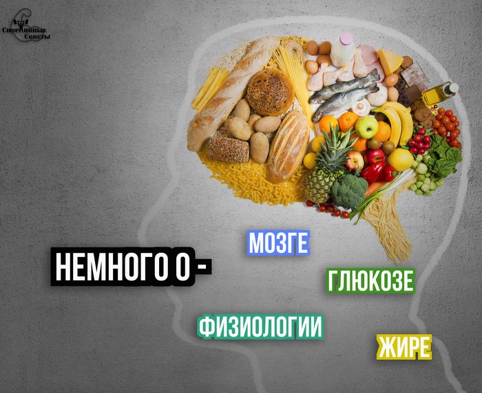 A little about physiology, glucose, brain and fat - My, Sport, Тренер, Sports Tips, Nutrition, Slimming, Physiology, The science, Muscle, Longpost