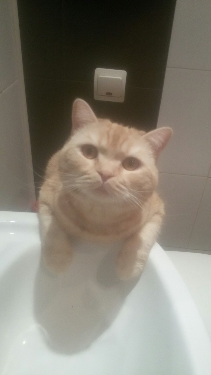 � �� �������� ����?