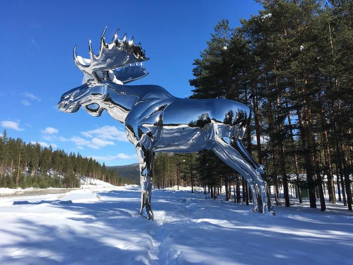 T-1000 in the animal world. - The photo, Forest, Elk, The statue, Terminator, Norway, Sculpture