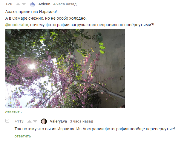 rotated - Comments on Peekaboo, Screenshot, Israel, Australia, Geography, Land