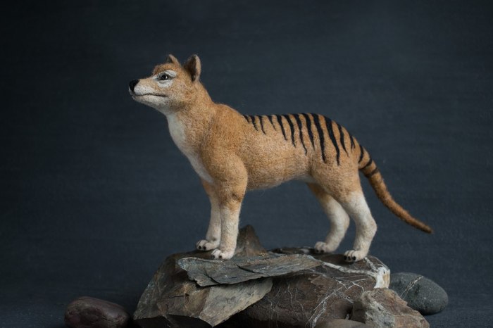 Thylacine, he is a marsupial wolf. dry felting - My, Needlework without process, Dry felting, Marsupial wolf, Wallow, Wool toy, Longpost