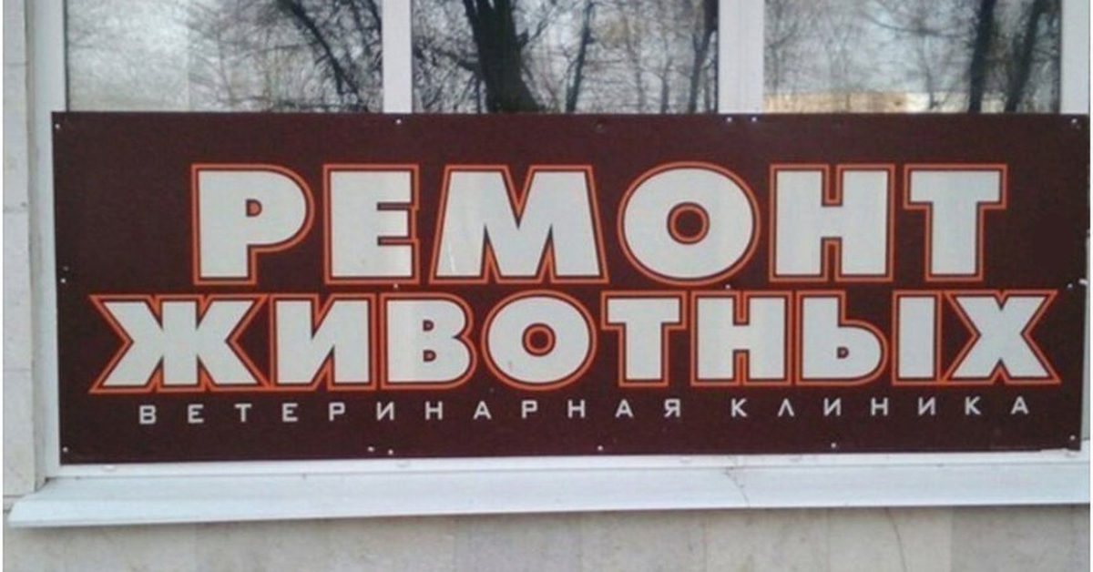 Ремонт животных. Реклама надпись. Юмор вывески реклама. Продолжение после рекламы. Надписи рекламного характера.