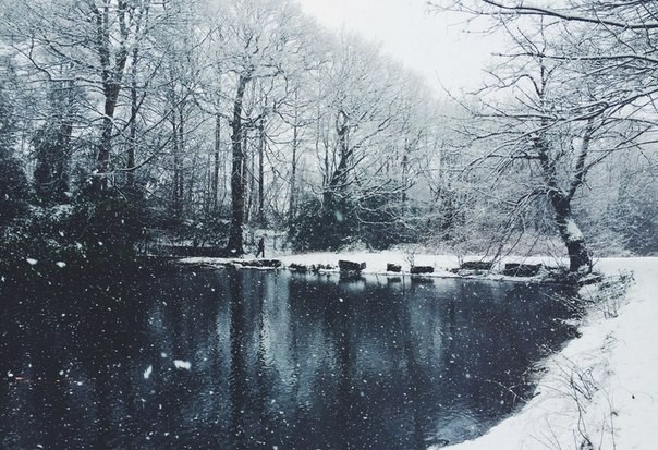 “Wonderful time - winter. Frosty, cruel, but - magical. - Winter, Nature, Winter time, Forest, Lake, Inspiration, Longpost, Summer and winter time