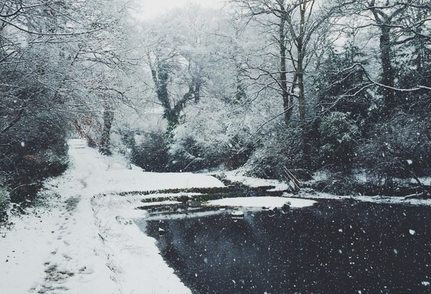 “Wonderful time - winter. Frosty, cruel, but - magical. - Winter, Nature, Winter time, Forest, Lake, Inspiration, Longpost, Summer and winter time